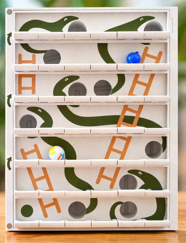 Juego Libro "Serpientes y escaleras"
